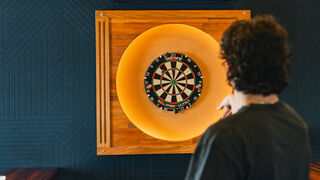 Ark Darts Shuffle 3